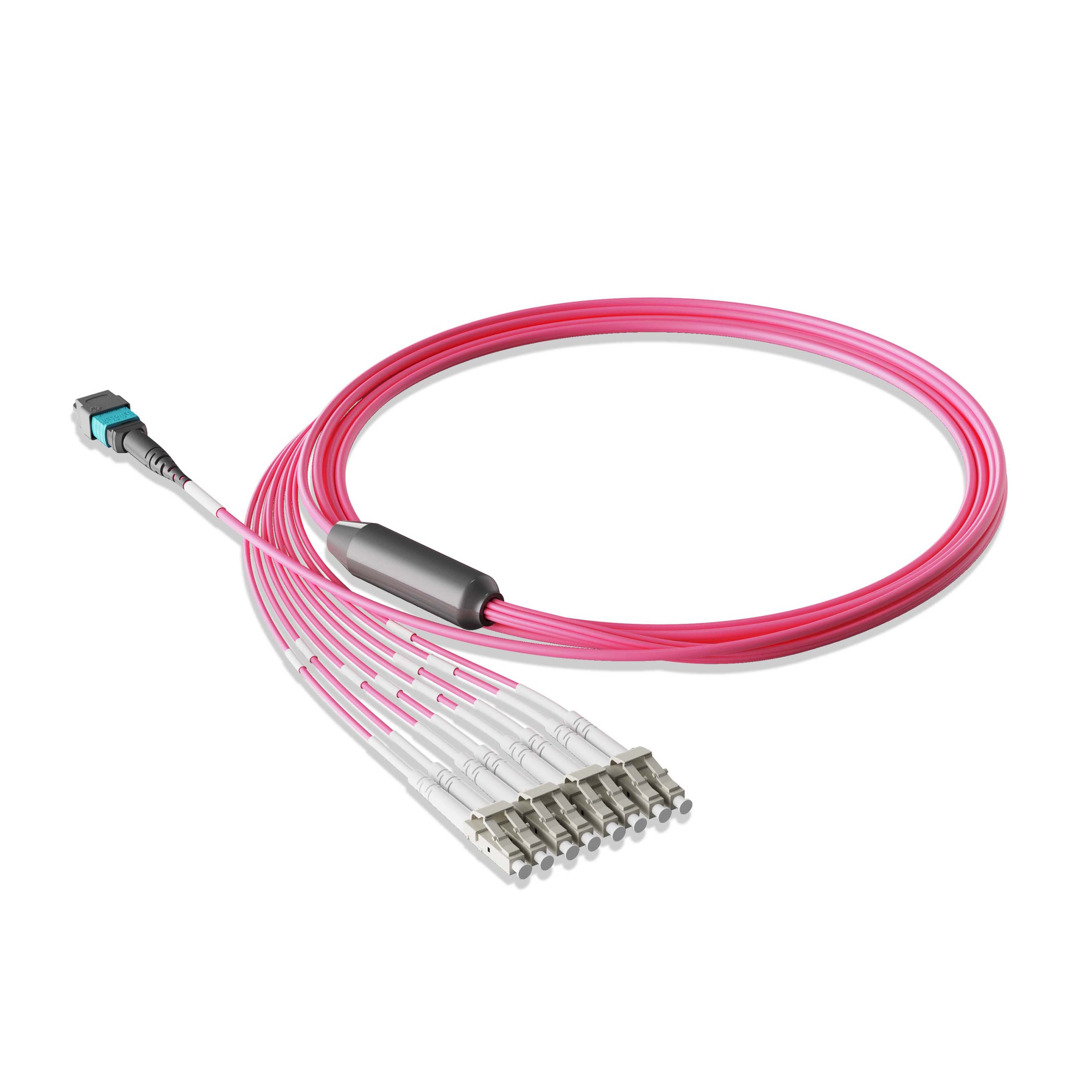 1m 3ft MTP Breakout Harness 8 Fibers MTP-8 UPC Female to 4xLC UPC Duplex Multimode OM4 Plenum OFNP 0.35dB Max Type B Magenta
