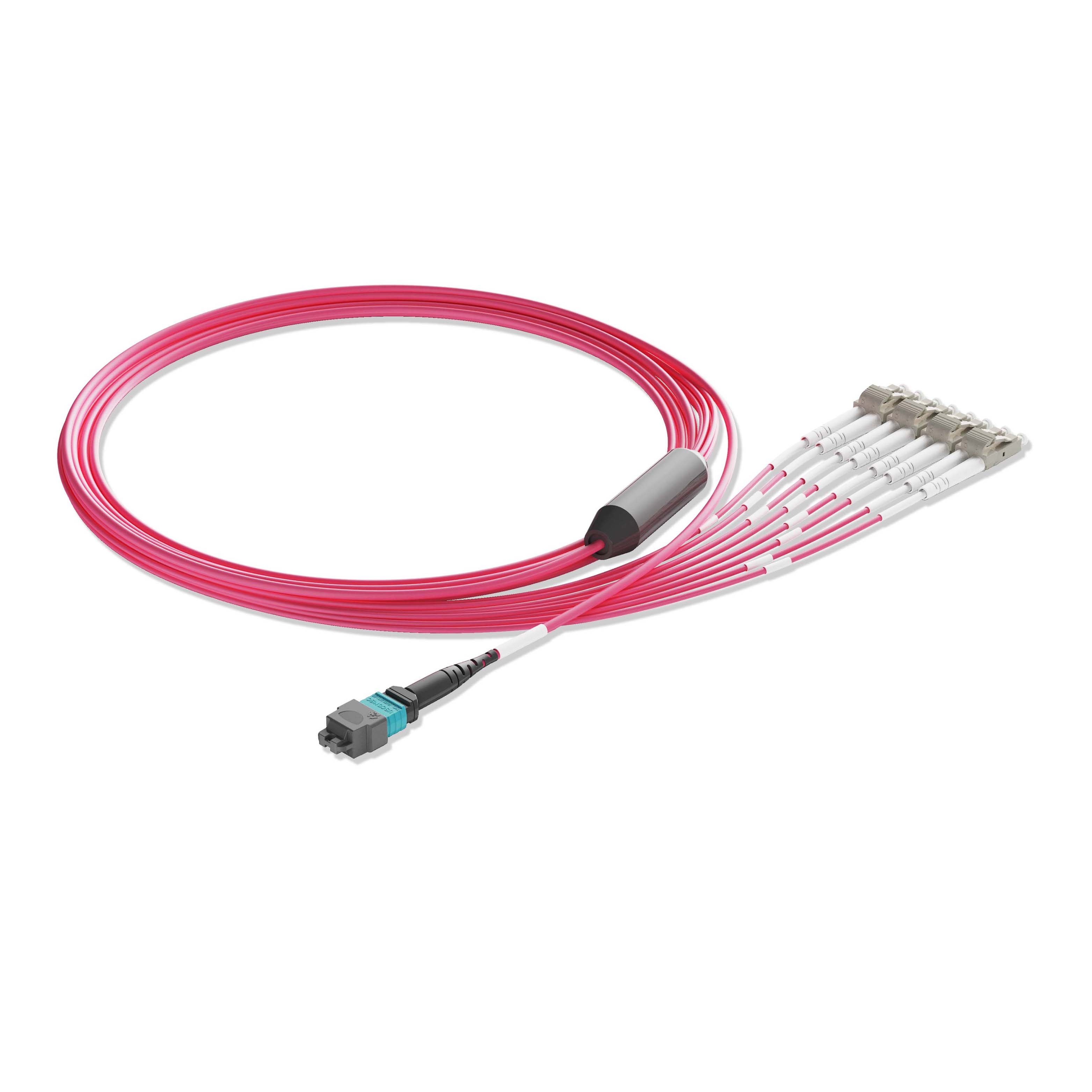 1m 3ft MPO Breakout Harness 8 Fibers MPO-8 UPC Female to 4xLC UPC Duplex Multimode OM4 Plenum OFNP 0.35dB Max Type B Magenta