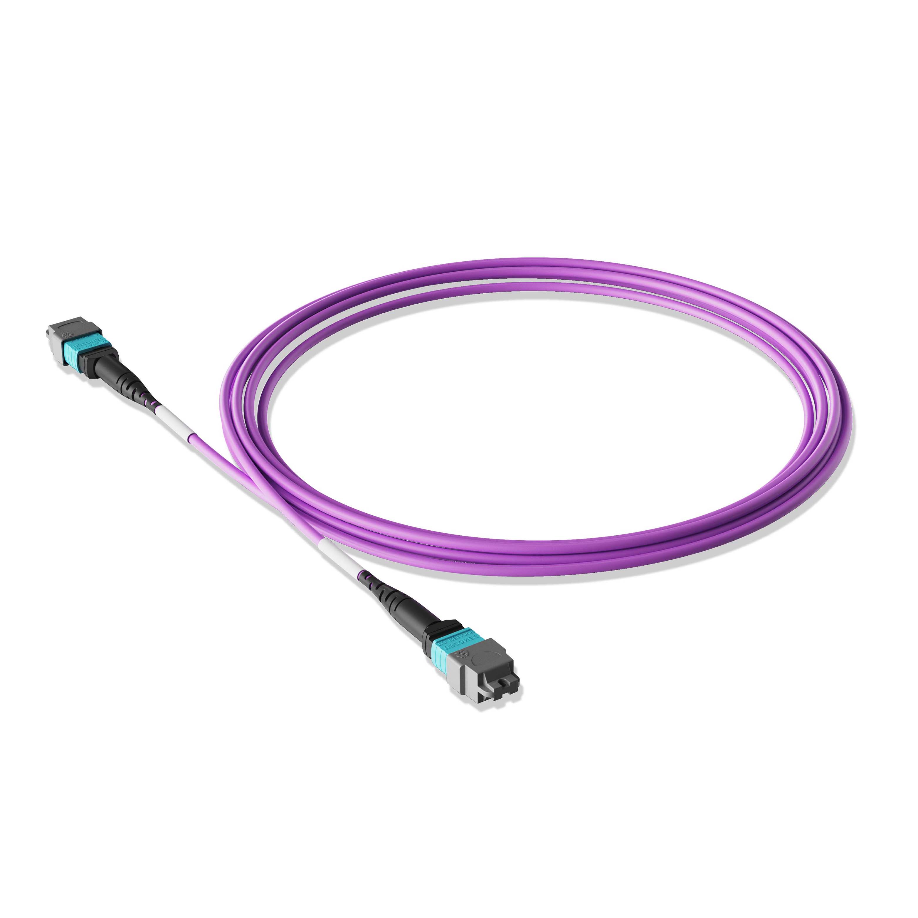 1m 3ft MPO Jumper 16 Fibers MPO-16 APC Female to MPO-16 APC Female Multimode OM4 Plenum OFNP 0.35dB Max 3.0mm Magenta
