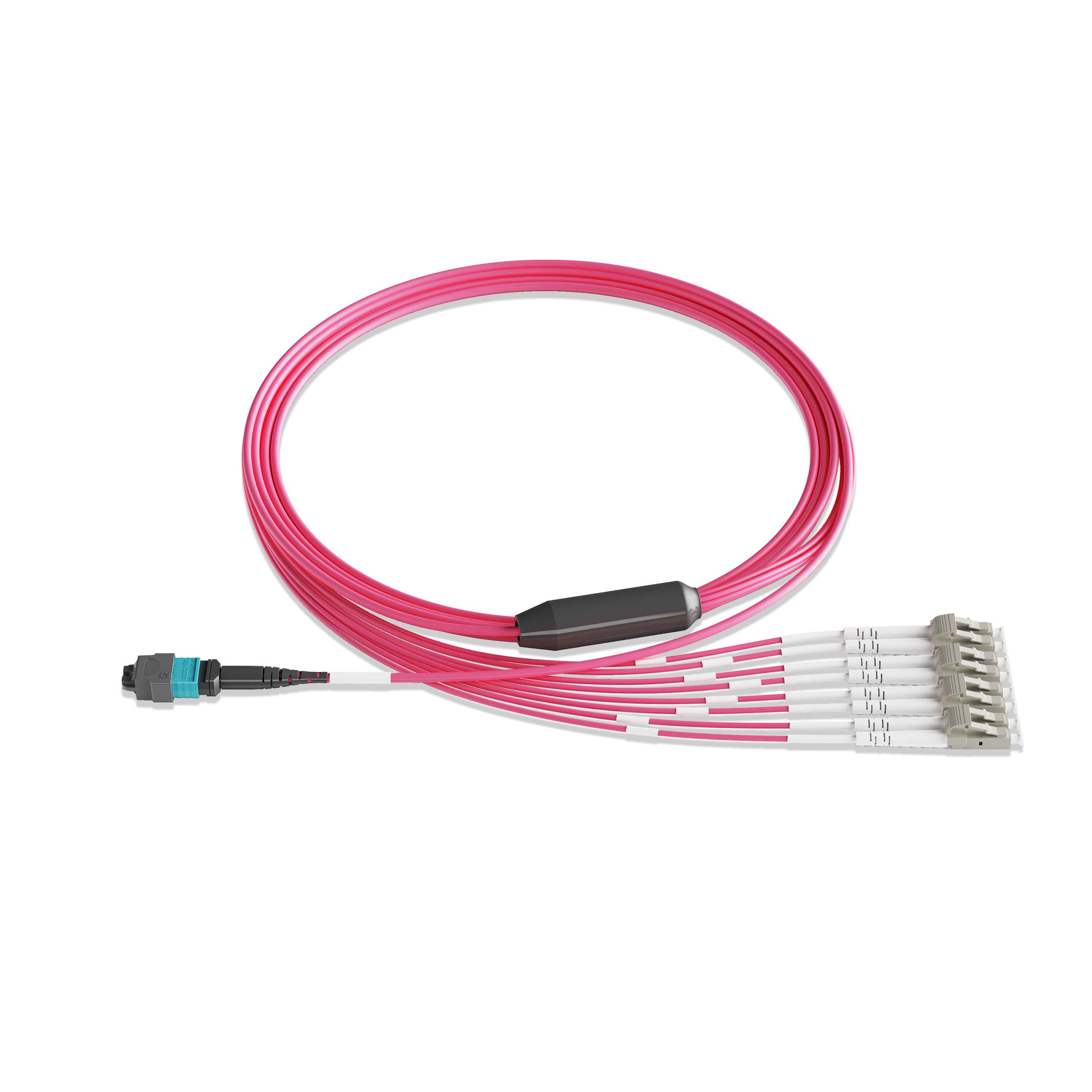 1m 3ft MPO Breakout Harness 8 Fibers MPO-8 UPC Female to 4xLC UPC Duplex Multimode OM4 Plenum OFNP 0.35dB Max Type B Magenta